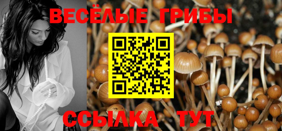 Галлюциногенные грибы Psilocybe  Вход с VPN  Новый Уренгой 